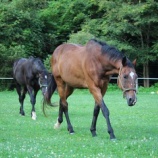 『お盆過ぎでも』の画像