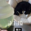 【ご飯日記】グルテンフリー開始。タンパク質少なすぎたぁー！