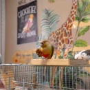 イルミネーション