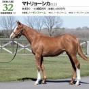 2/1京都3才1勝C牝 ダ1400m【アンディラメナ《3戦目》】