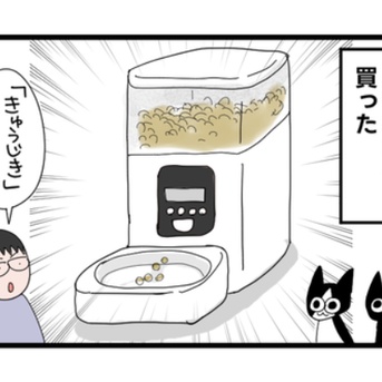 猫に自動給餌機買ってみた