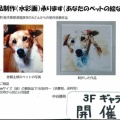 ギャラリーレポート『中谷勝則絵画展 Cats & Dogs』2025年７月10日～15日
