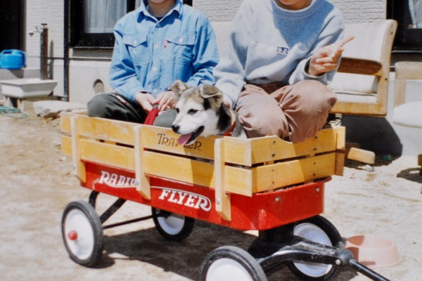 スーパーカブ中心生活 ｔｏｎｙ ｓ甲信生活 犬