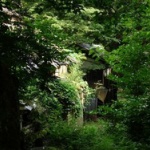 【画像】廃れゆく風景…全てはこの世のなれの果て…