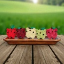 【採れたて】愛し愛されりんご、ニャップル【ぴちぴち】