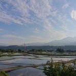 わに塚の桜　四季　２０２６　(地元発信)