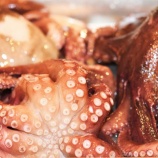 『第48回マイクロバブル研究会の案内』の画像