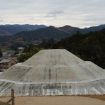 欠史八代結合体