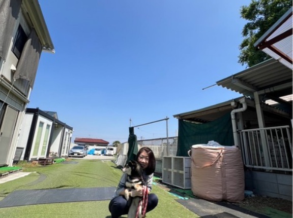 今日も快晴☀️👍絶好調のささシェルター地方です。