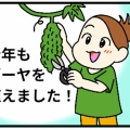 今年もゴーヤ植えました！