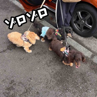 ２ヶ月に一度。