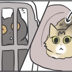 おそらくその平凡こそ幸せ　猫と私と家族の日常