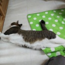 もう。