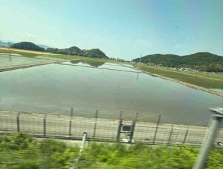 昨日は体調不良がピーク！