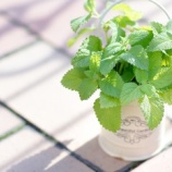 『緊急入院』の画像