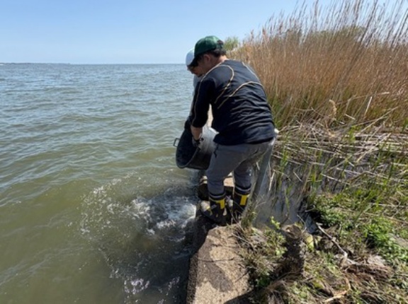 いろいろありますなぁ･･････