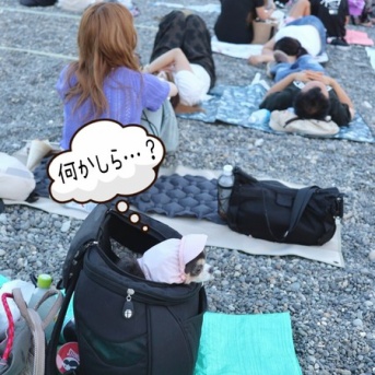 熊野花火大会に行くべきか、行かぬべきか