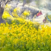 透明水彩スケッチ「菜の花揺れる」＆伏見桃山の教室展無事にスタートしました！！