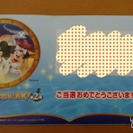 大人だって楽しみたいTDRヽ(*´▽)ノ♪遠方から失礼します