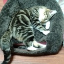 親の面会と親戚付き合いの難しさ