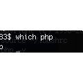 PHP環境が良く分からん事になってしまったので整理する為にやったアレコレ