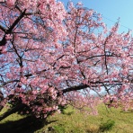 JN2TZBの無線ライフ(3)