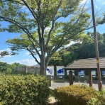 キティの遊ら湯ら散歩道