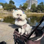 Dr.きょうのぼちぼちブログ