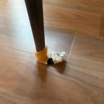 日常にこんにちは。