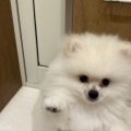 ワンラブヨシヅヤ名西店