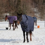 『ポカポカ日差し』の画像