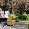 春の自然に包まれて