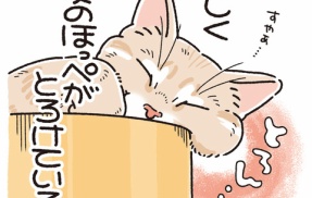 消えたもちもち