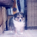 ミルキーの誕生日