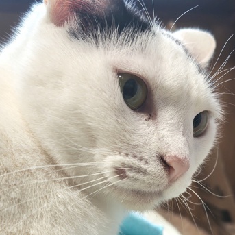 心配のノリちゃん