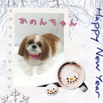 日々、ＪＡＭにあり