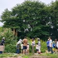 2026年7月12日（日）　ゆるゆるお手入れ作業レポート
