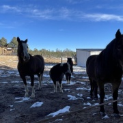 ���򴵤ä��ͤΤ����