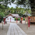 ８月ですね。