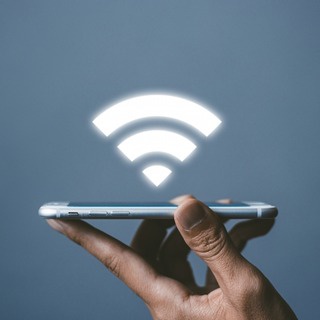 セガレの知恵袋