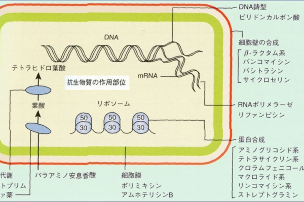 太田東こども おとな診療所使用薬品解説