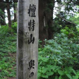 『【石名・檀特山】山好き必見‐オトナの天然杉‐』の画像