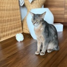 早起きして、元気に歩くりすたん