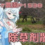 Next days ~ マイペース農業