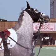 推し馬のゴコウコイコイちゃんが引退