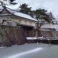 雪の新発田城
