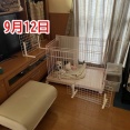 危険性ゼロケイナ