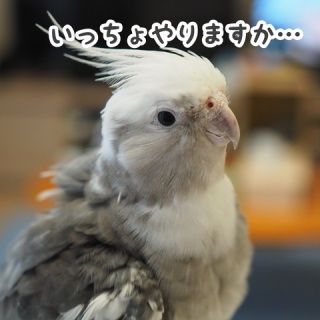 NEW!ユニブログ