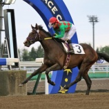 『【今週のフレッシュCh】5/31門別6R・内1,500m=1着③ナイママ(牡=田部和則厩舎。馬主・岡田繫幸氏、道見牧場=日高町生産)』の画像