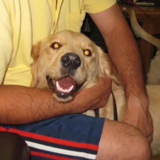 ボルスとマリブの庭